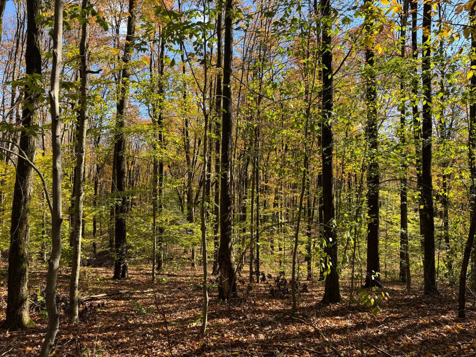 #27 photo, 00 Davidson Rd, Lee , NY 13440