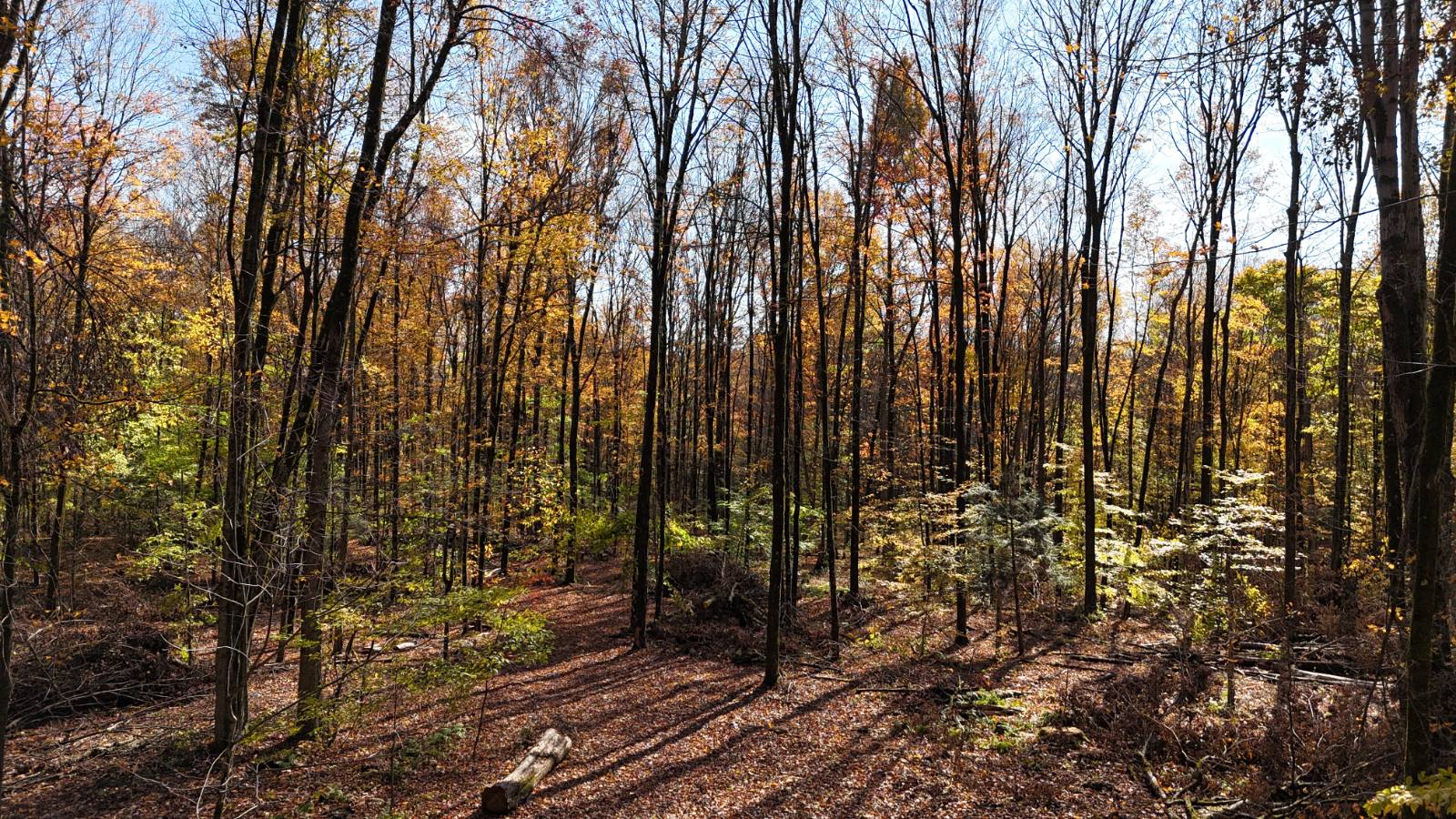 #28 photo, 00 Davidson Rd, Lee , NY 13440