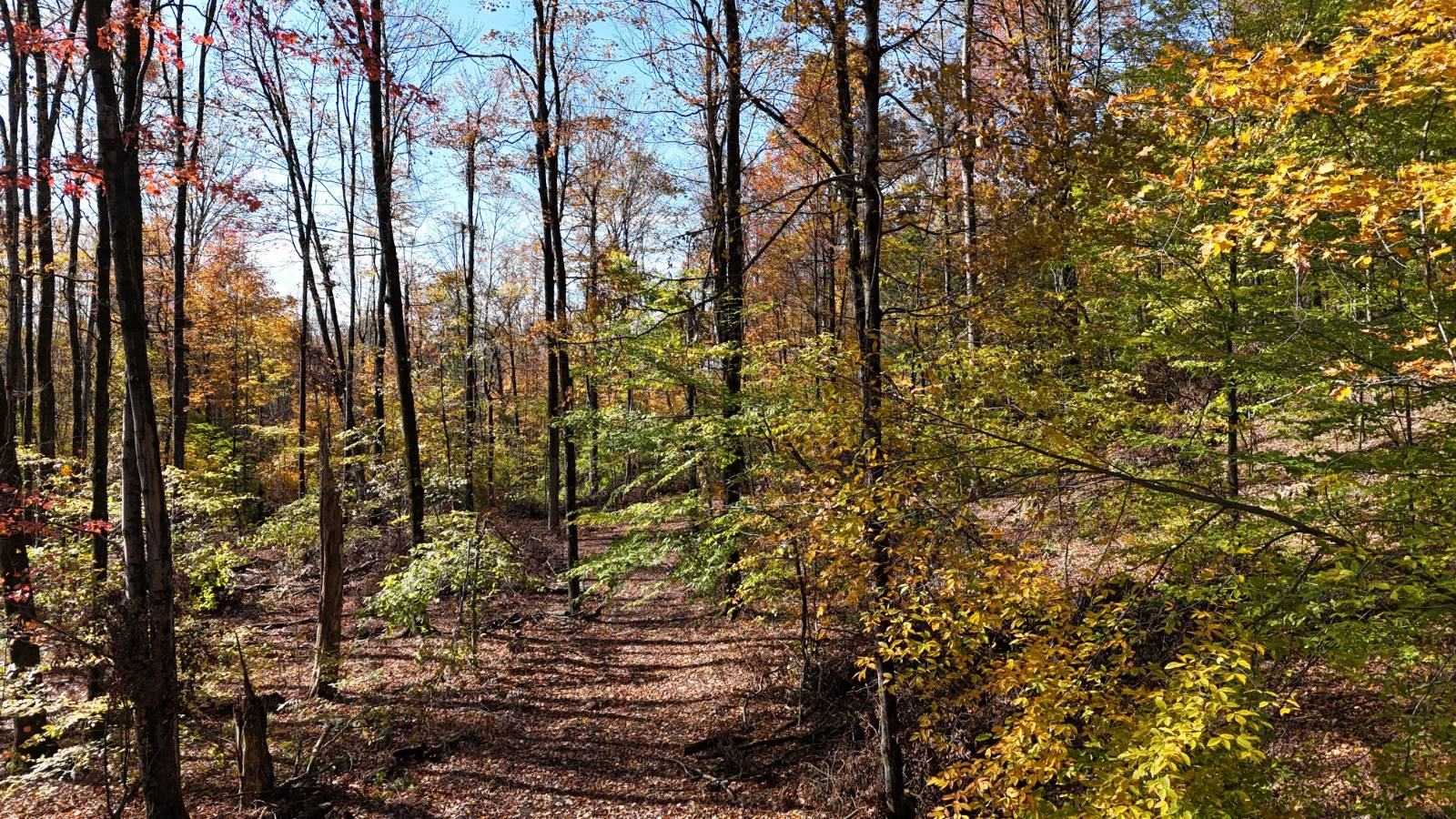 #29 photo, 00 Davidson Rd, Lee , NY 13440