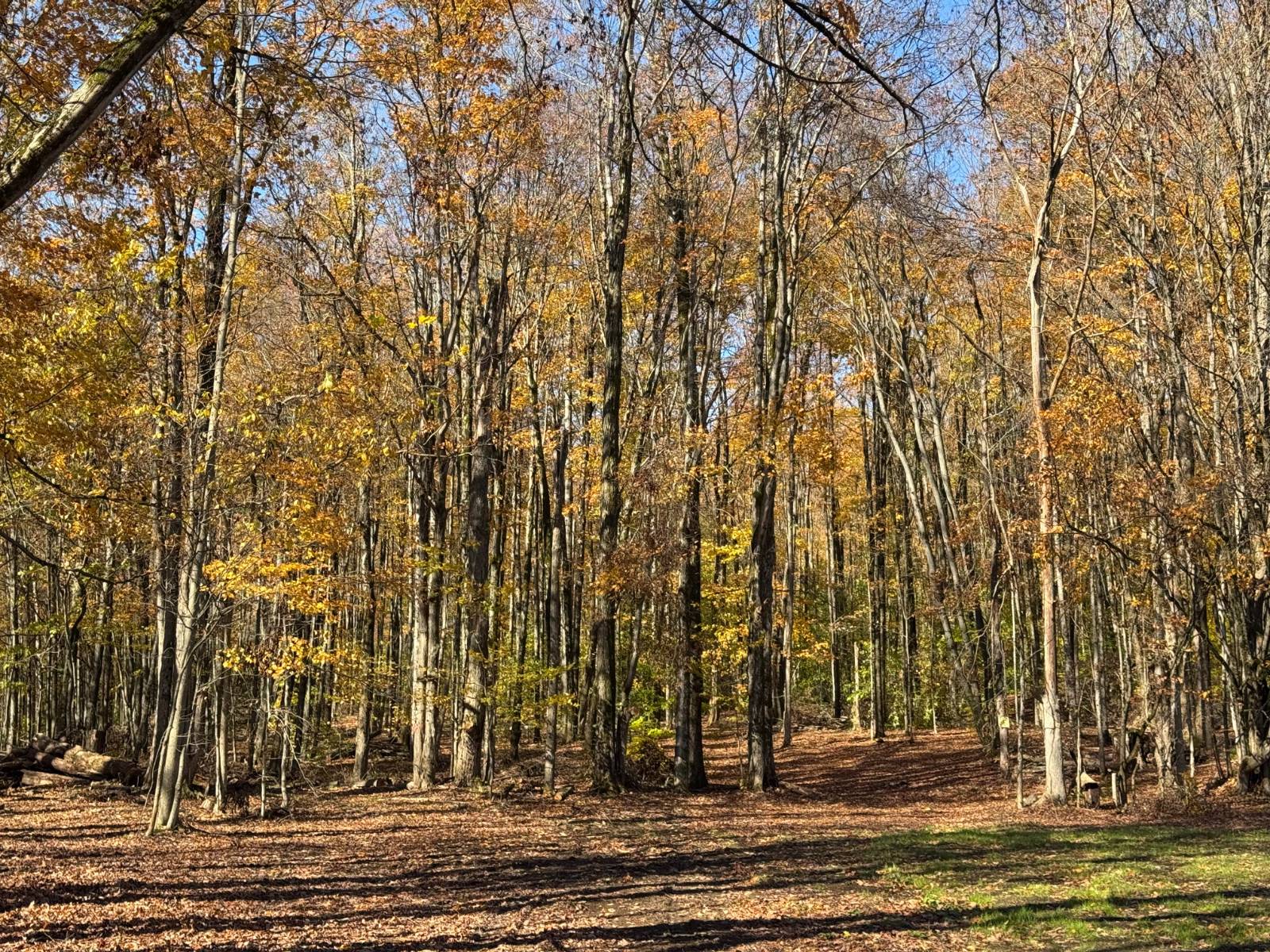 #3 photo, 00 Davidson Rd, Lee , NY 13440