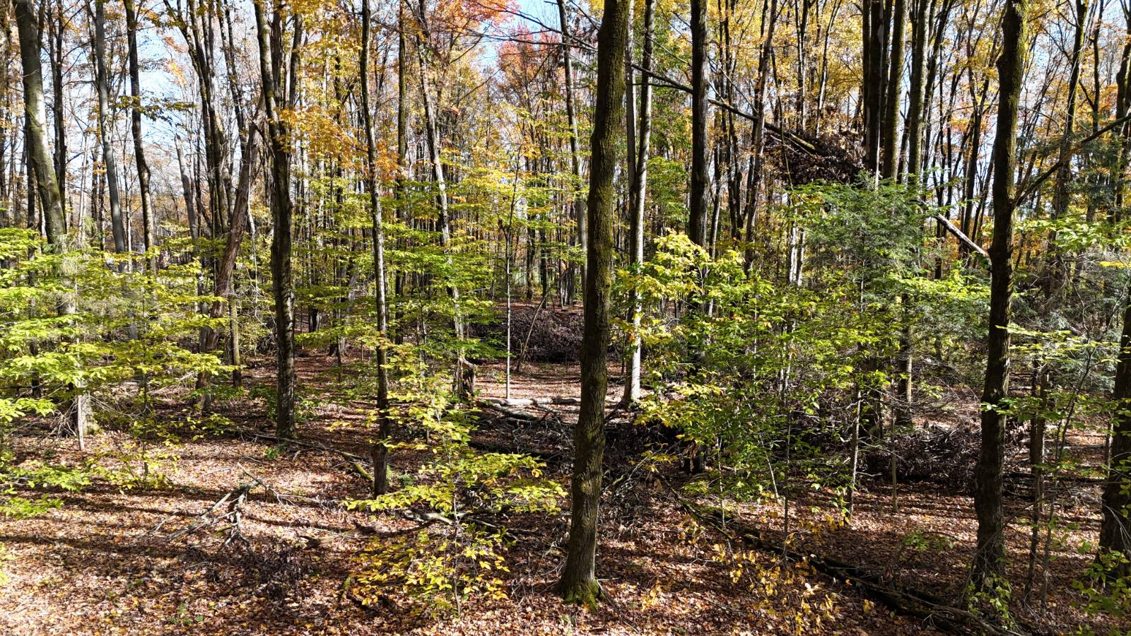 #30 photo, 00 Davidson Rd, Lee , NY 13440