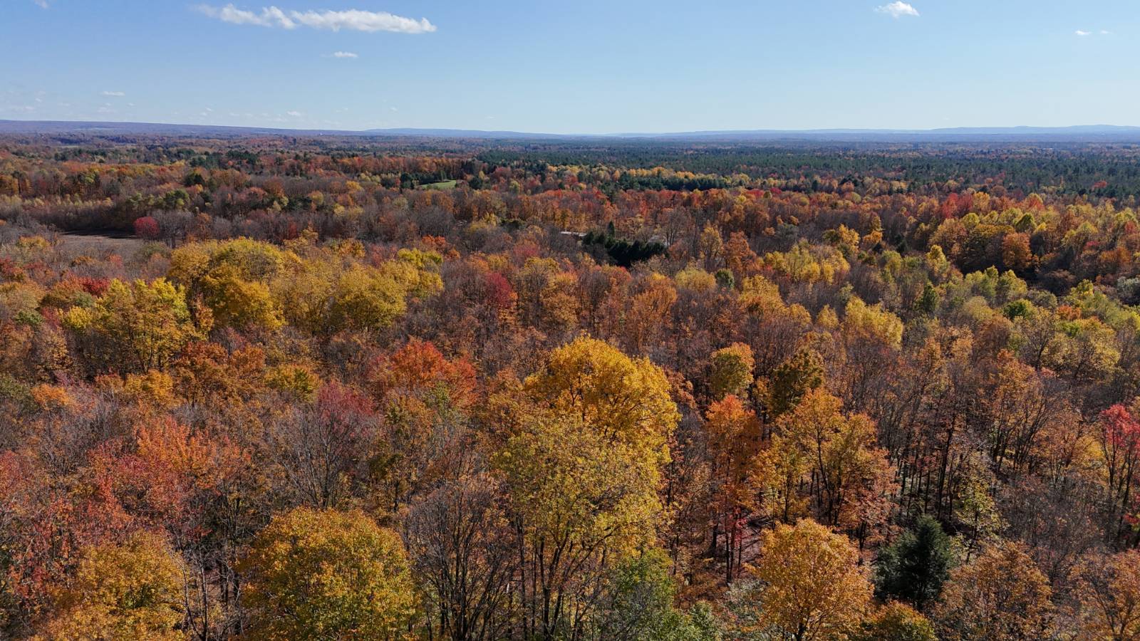 #31 photo, 00 Davidson Rd, Lee , NY 13440