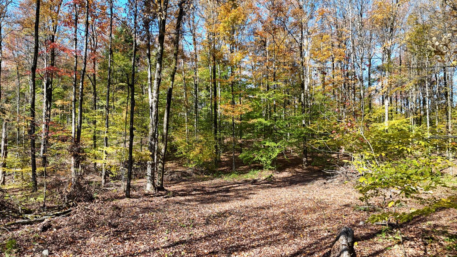 #32 photo, 00 Davidson Rd, Lee , NY 13440