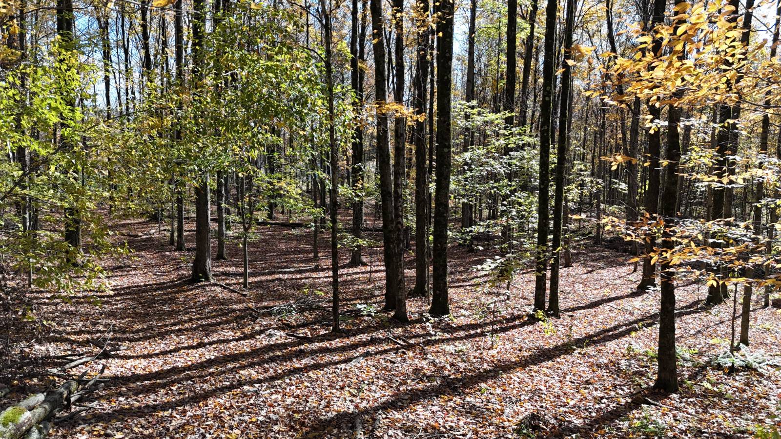 #33 photo, 00 Davidson Rd, Lee , NY 13440