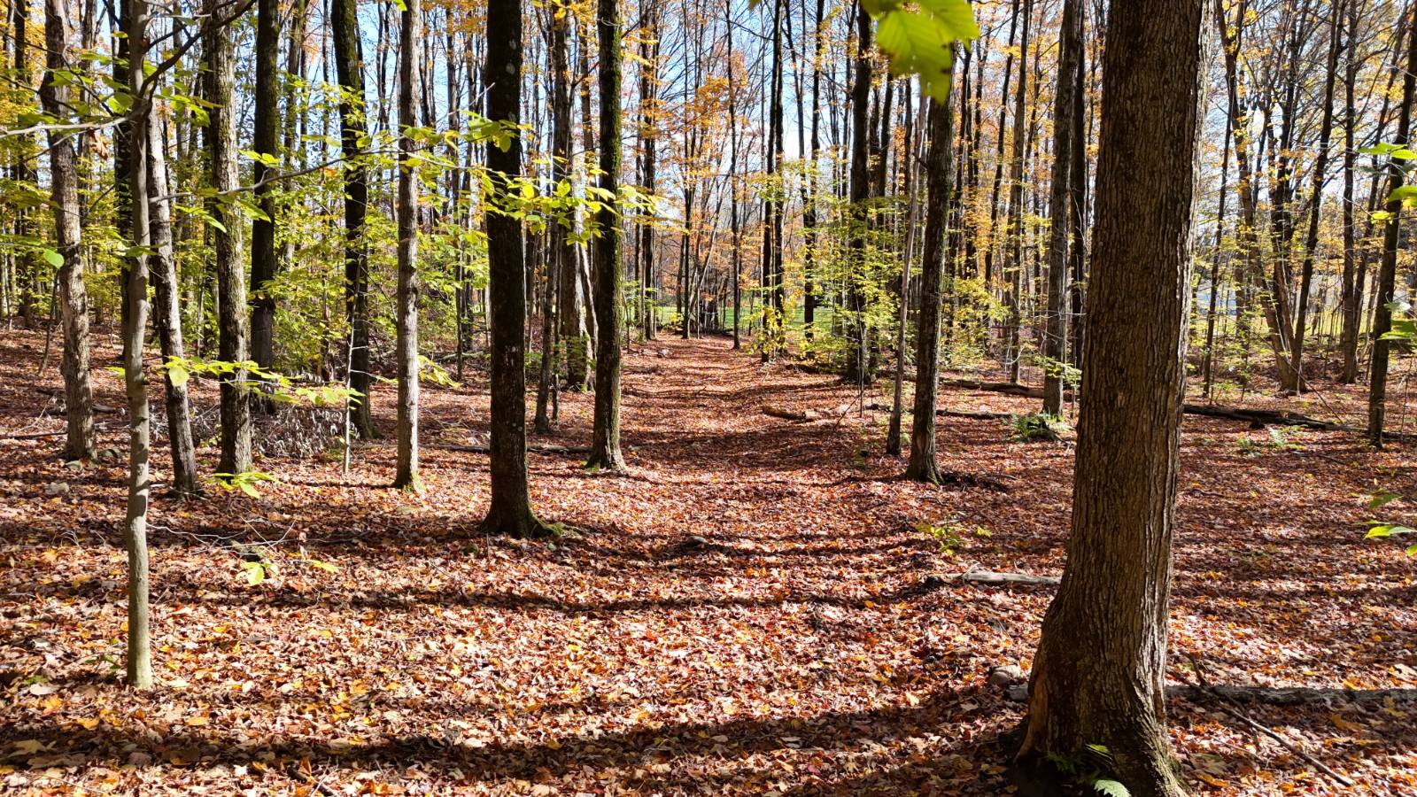 #34 photo, 00 Davidson Rd, Lee , NY 13440