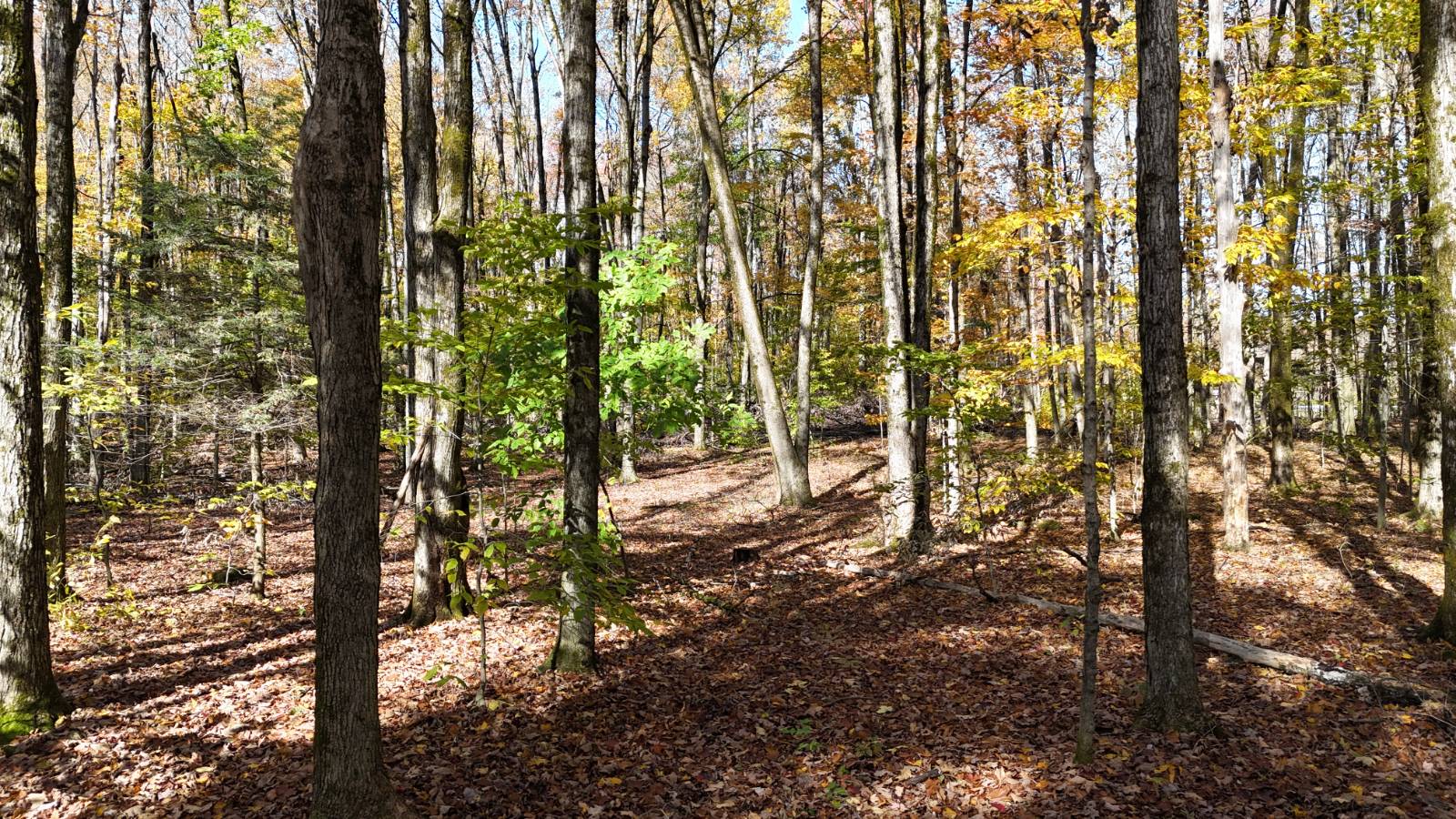 #35 photo, 00 Davidson Rd, Lee , NY 13440