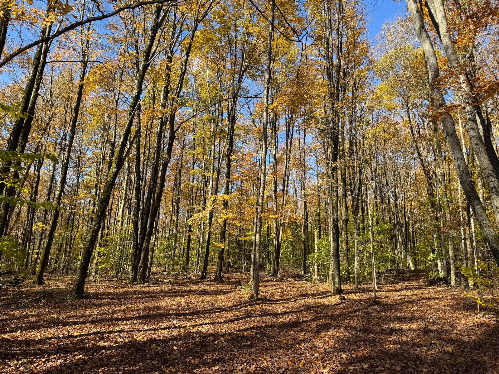 #6 photo, 00 Davidson Rd, Lee , NY 13440