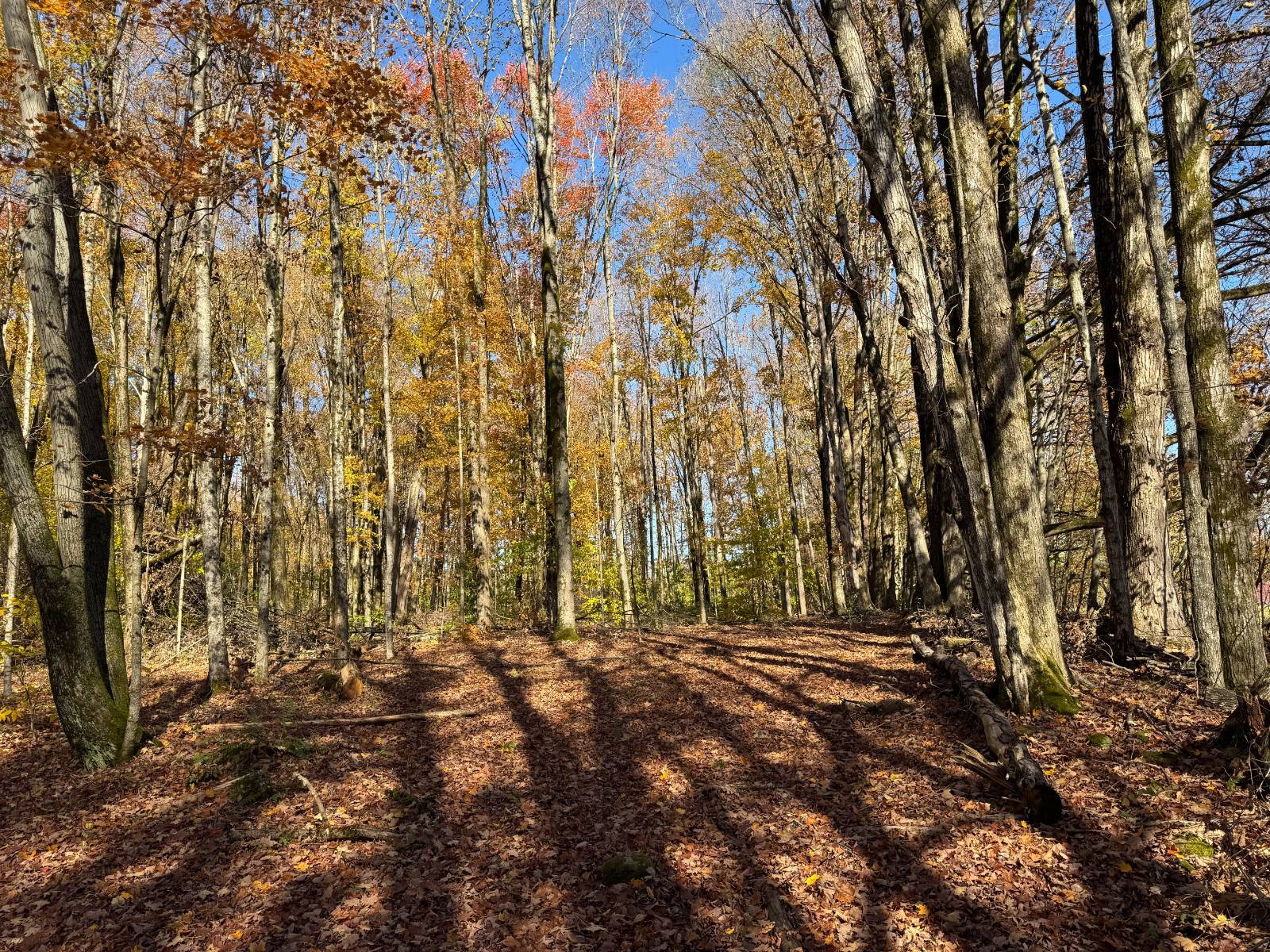 #7 photo, 00 Davidson Rd, Lee , NY 13440