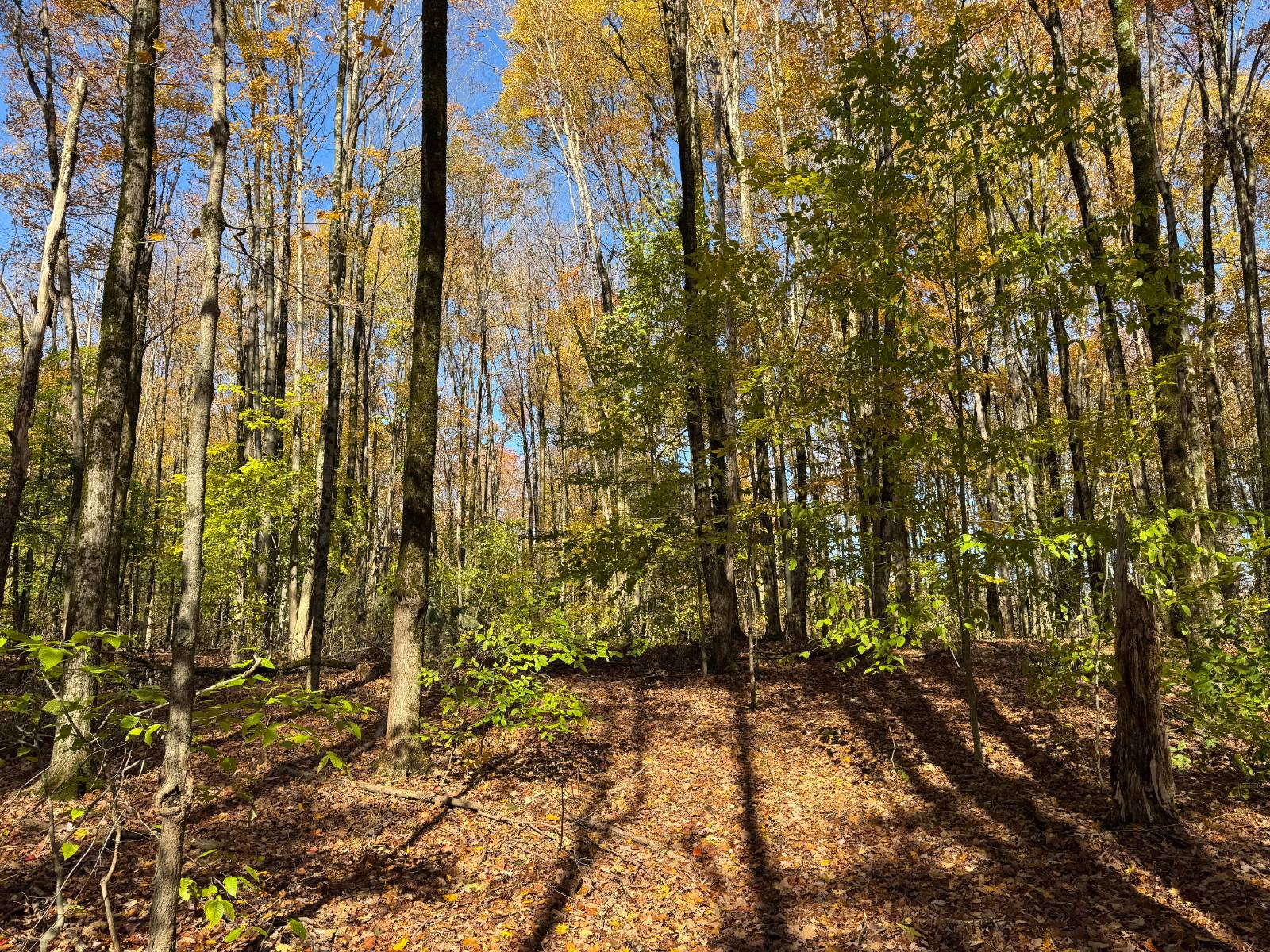 #8 photo, 00 Davidson Rd, Lee , NY 13440