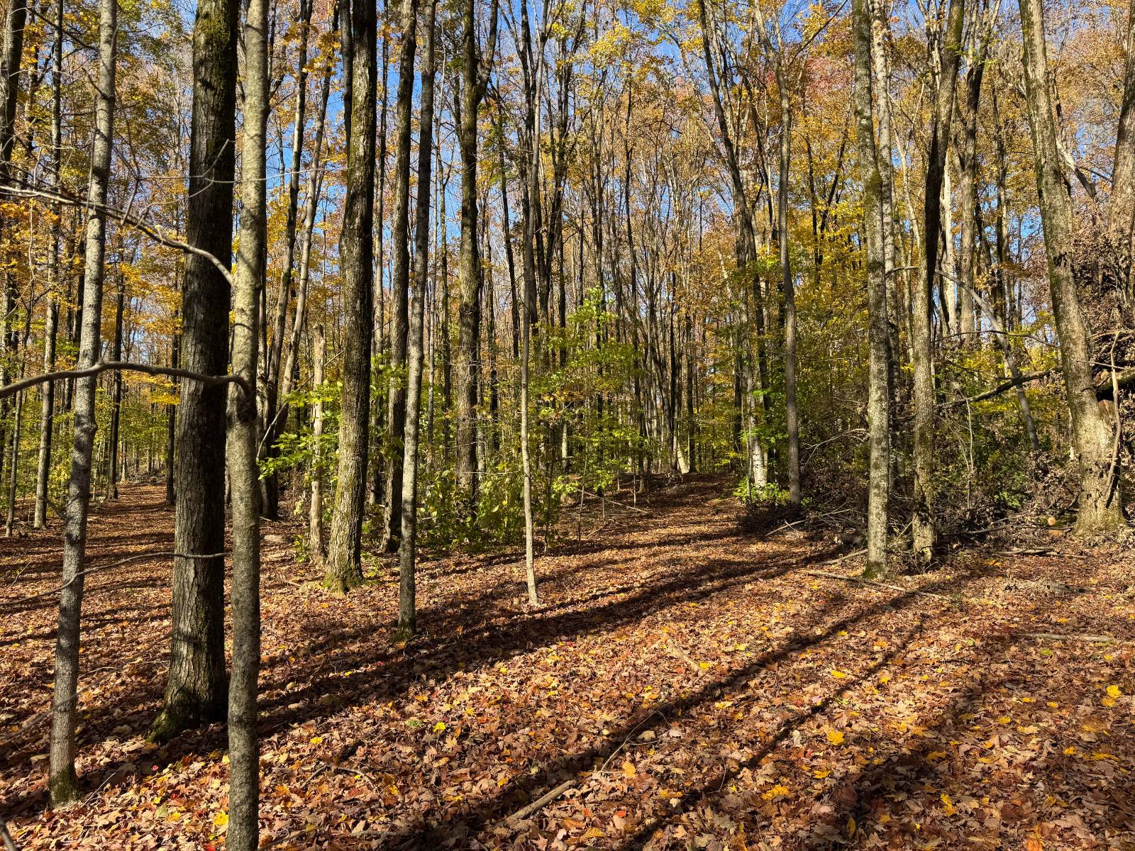 #9 photo, 00 Davidson Rd, Lee , NY 13440