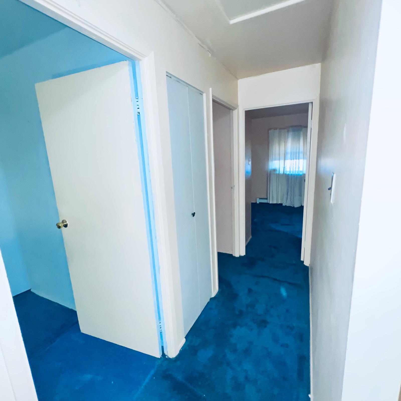 #14 photo, 267 Berriman Street, East New York , NY 11208