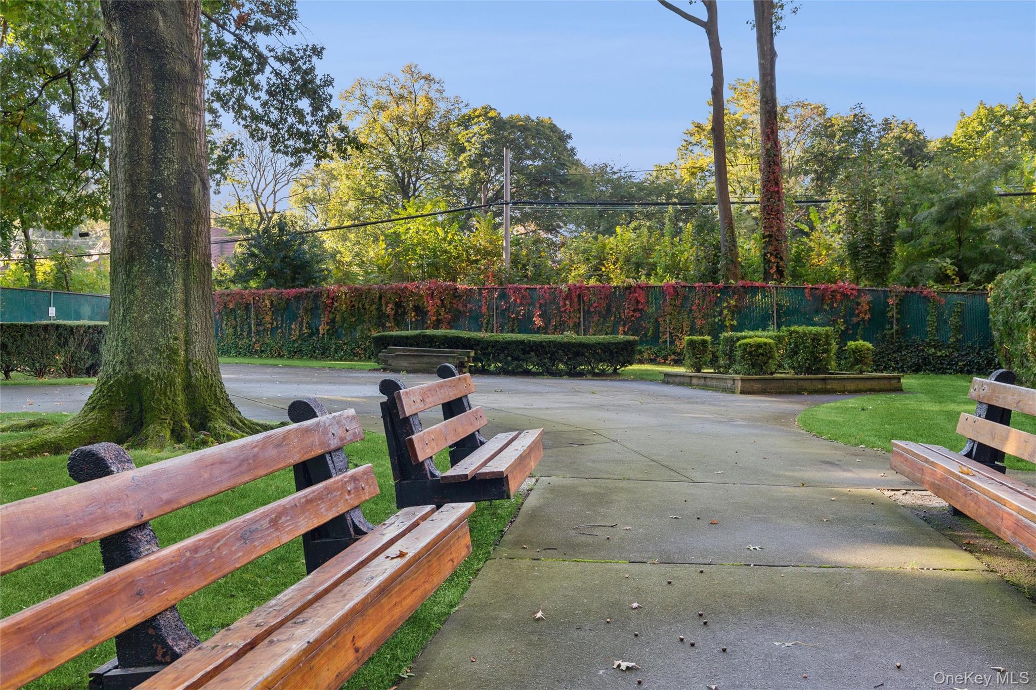 #9 photo, 75-02 Austin Street, クイーンズ区 Forest Hills , NY 11375