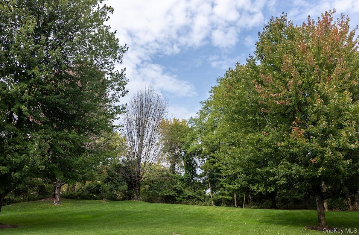 #5 photo, 66 Landing Drive, Dobbs Ferry , NY 10522