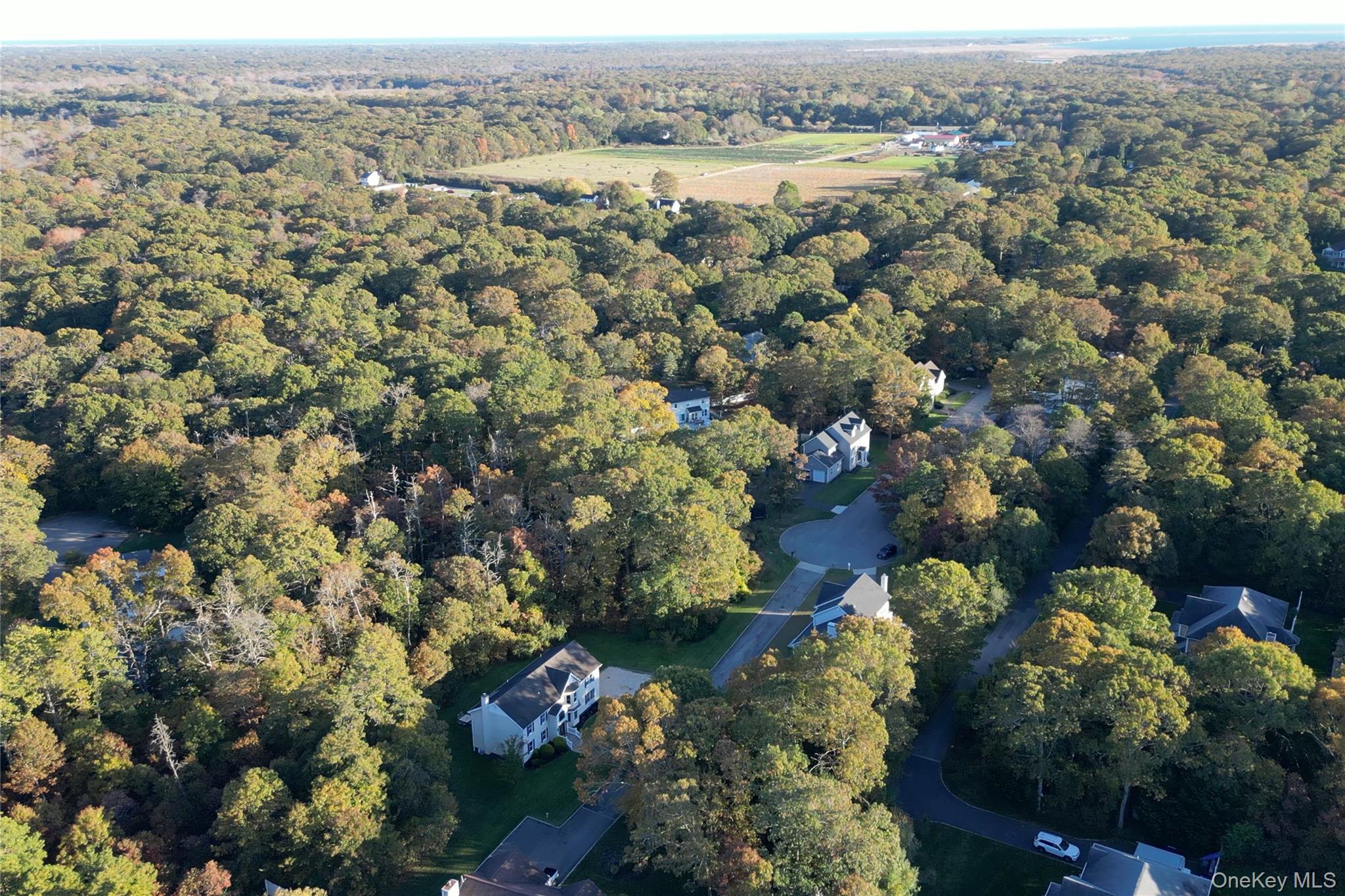 #1 photo, 11A Grand Avenue, サフォーク郡 Yaphank , NY 11980