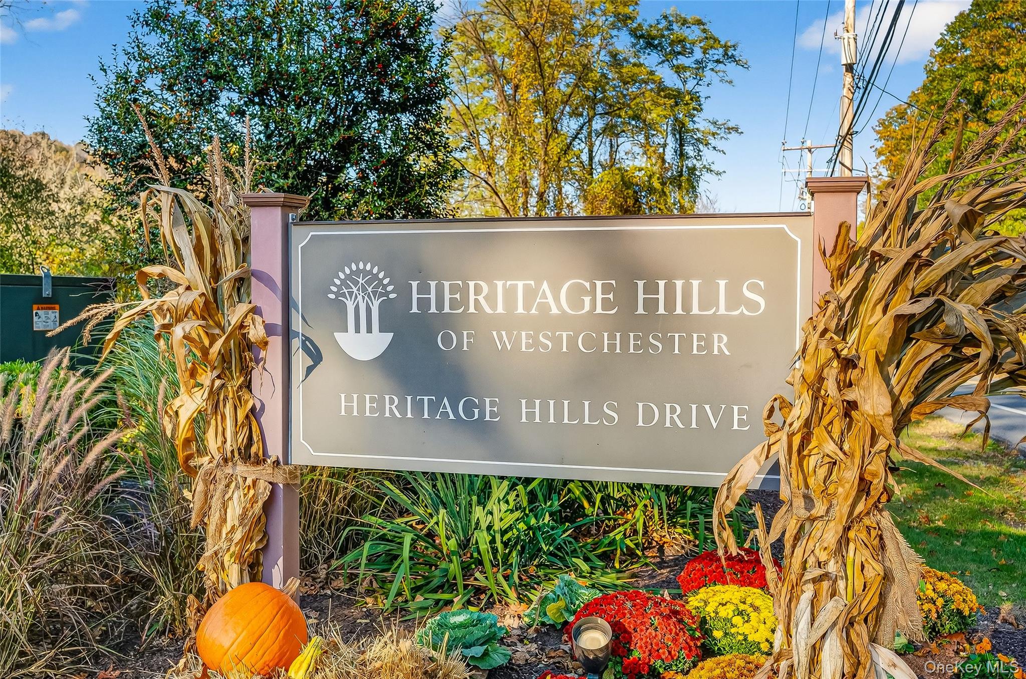 #1 photo, 137 B Heritage Hills Hills, Somers , NY 10589