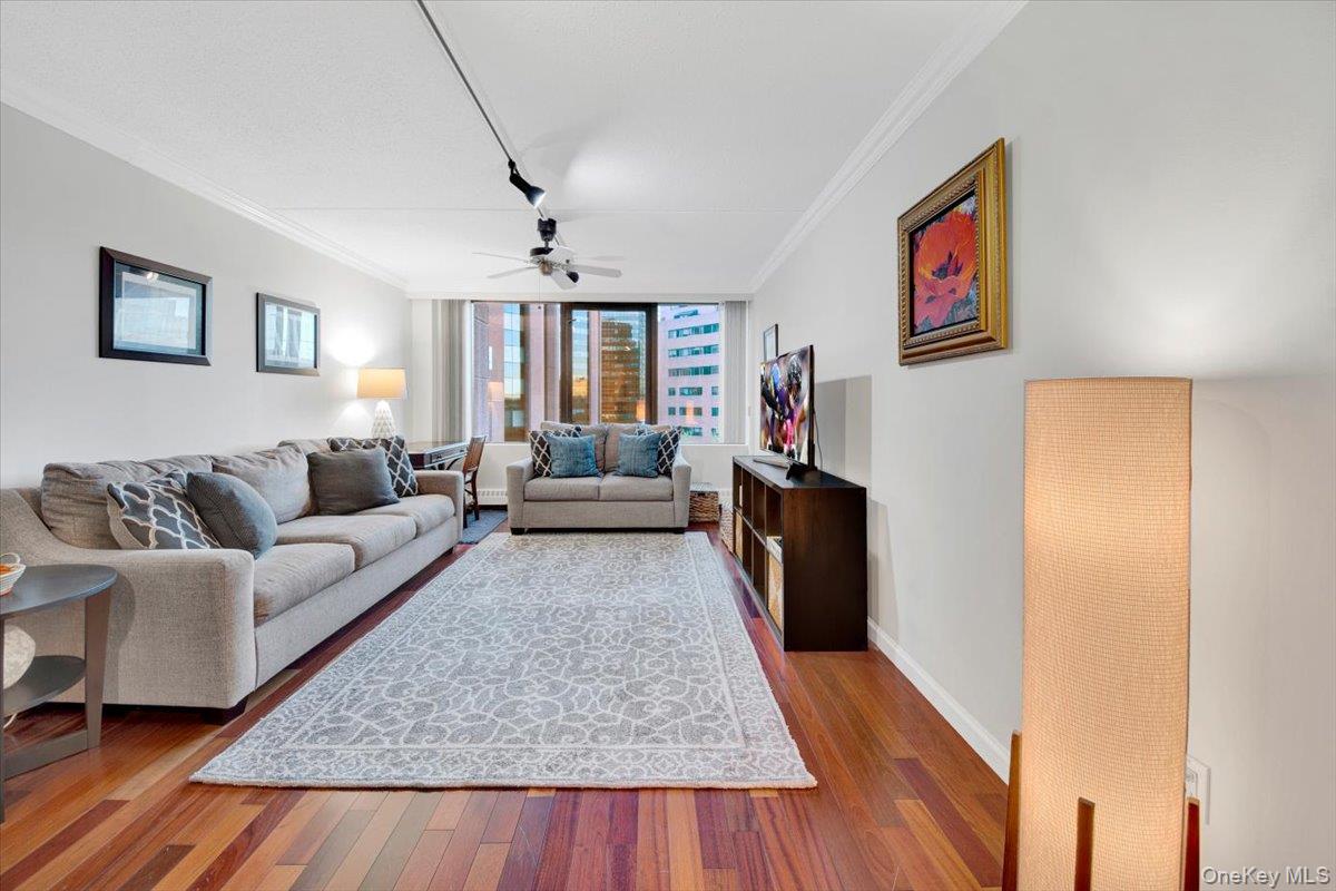 #2 photo, 4 Martine Avenue, White Plains , NY 10606