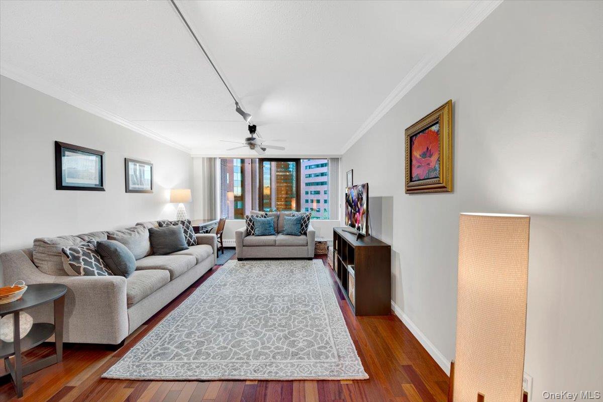 #4 photo, 4 Martine Avenue, White Plains , NY 10606