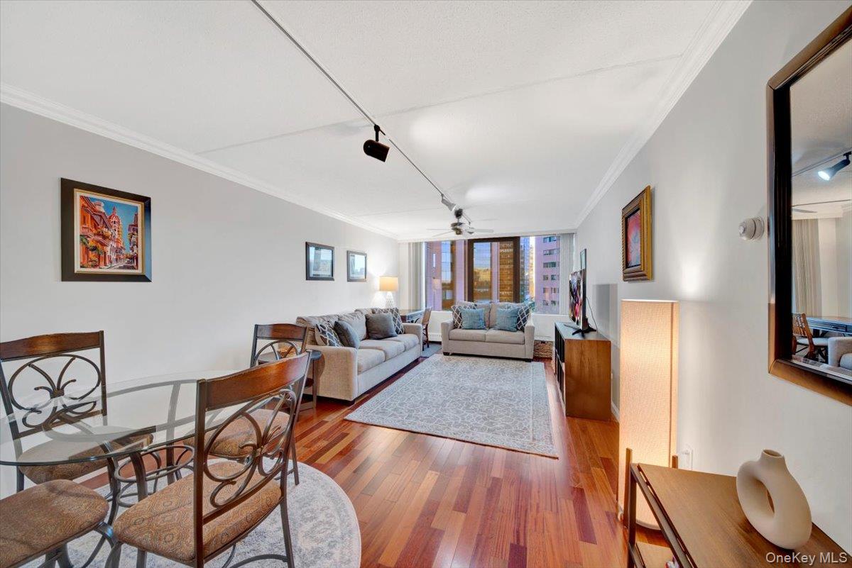 #5 photo, 4 Martine Avenue, White Plains , NY 10606