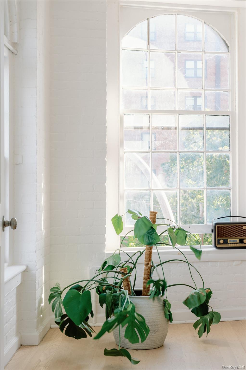 #18 photo, 155 River Street, Troy , NY 12180