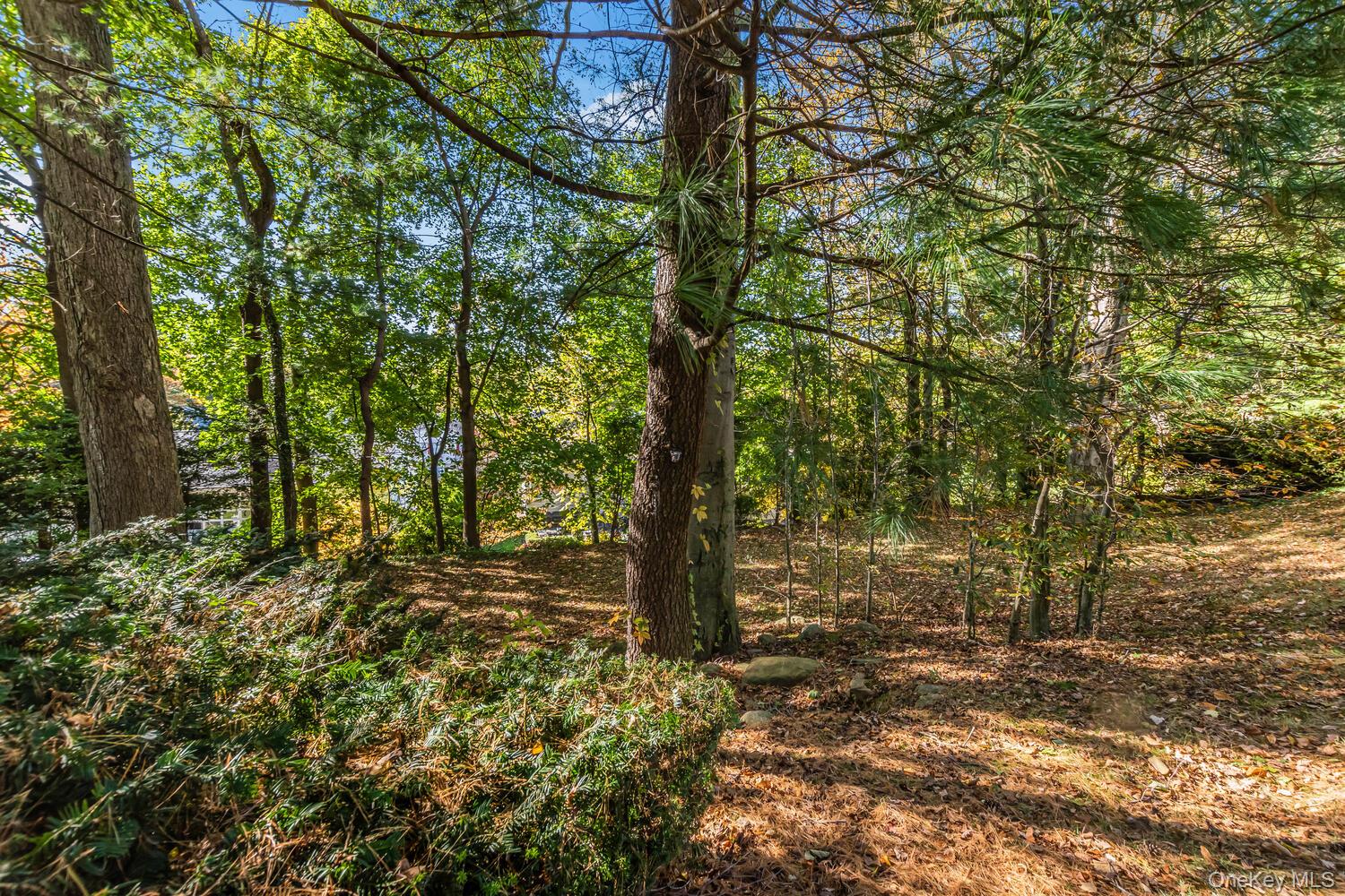 #11 photo, 73 Hilary Circle, New Rochelle , NY 10804