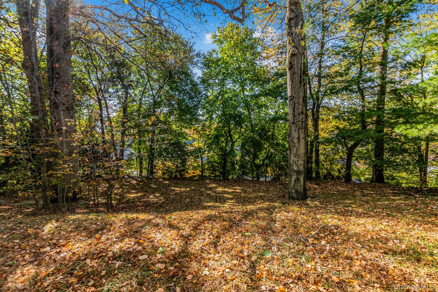 #19 photo, 73 Hilary Circle, New Rochelle , NY 10804