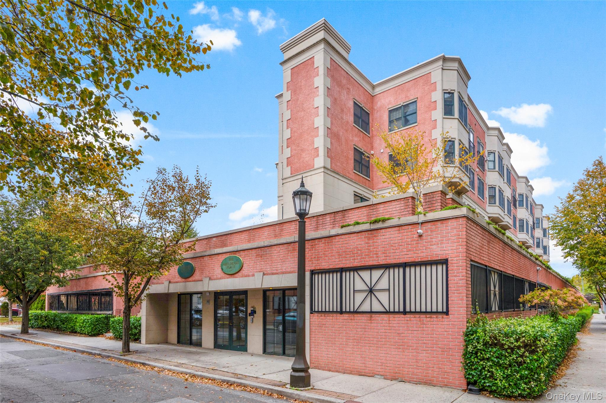 #1 photo, 101 Sheldrake Place, 纽约州 Mamaroneck , NY 10543