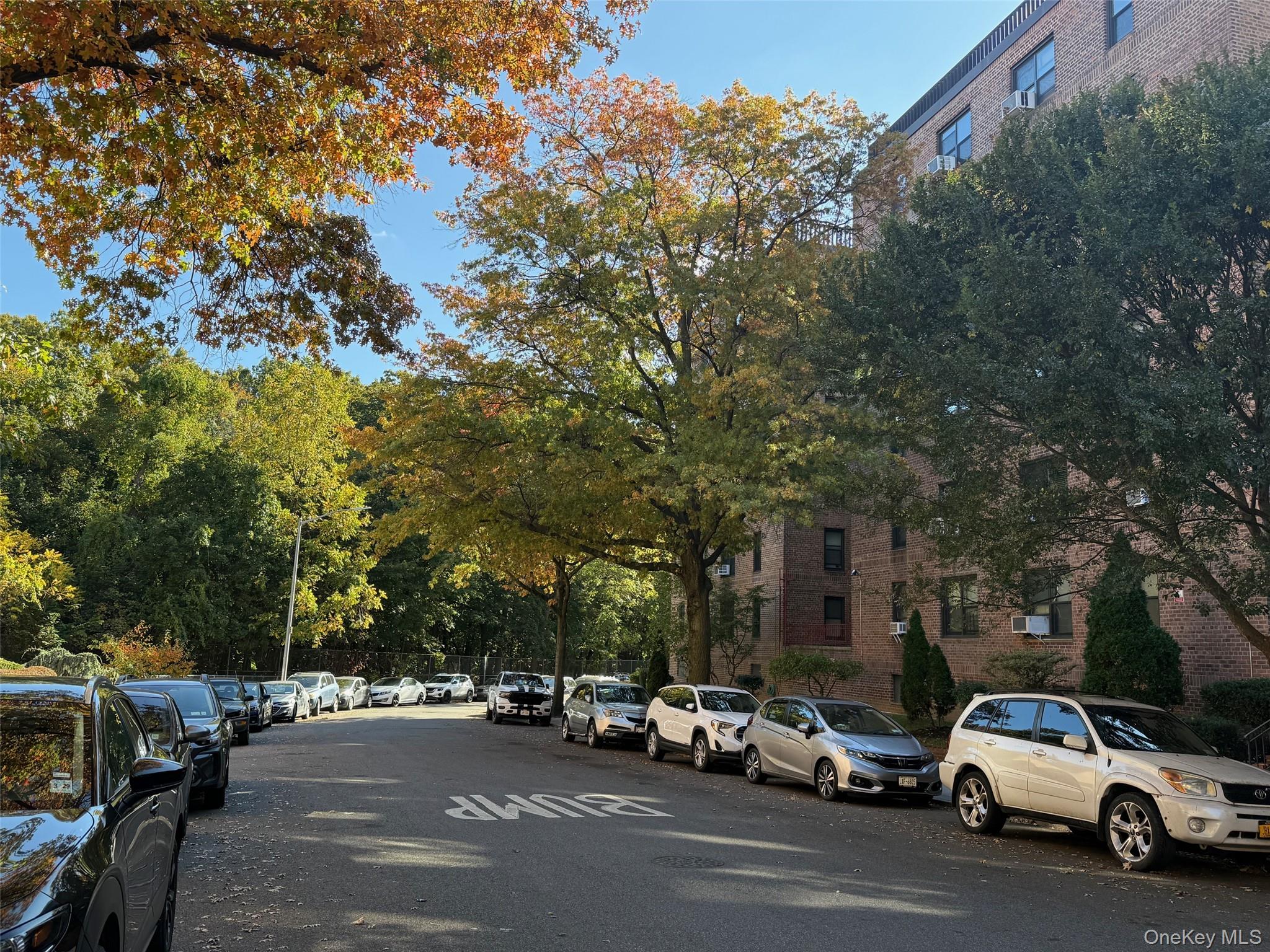 #2 photo, 83-30 98 Street, クイーンズ区 Woodhaven , NY 11421