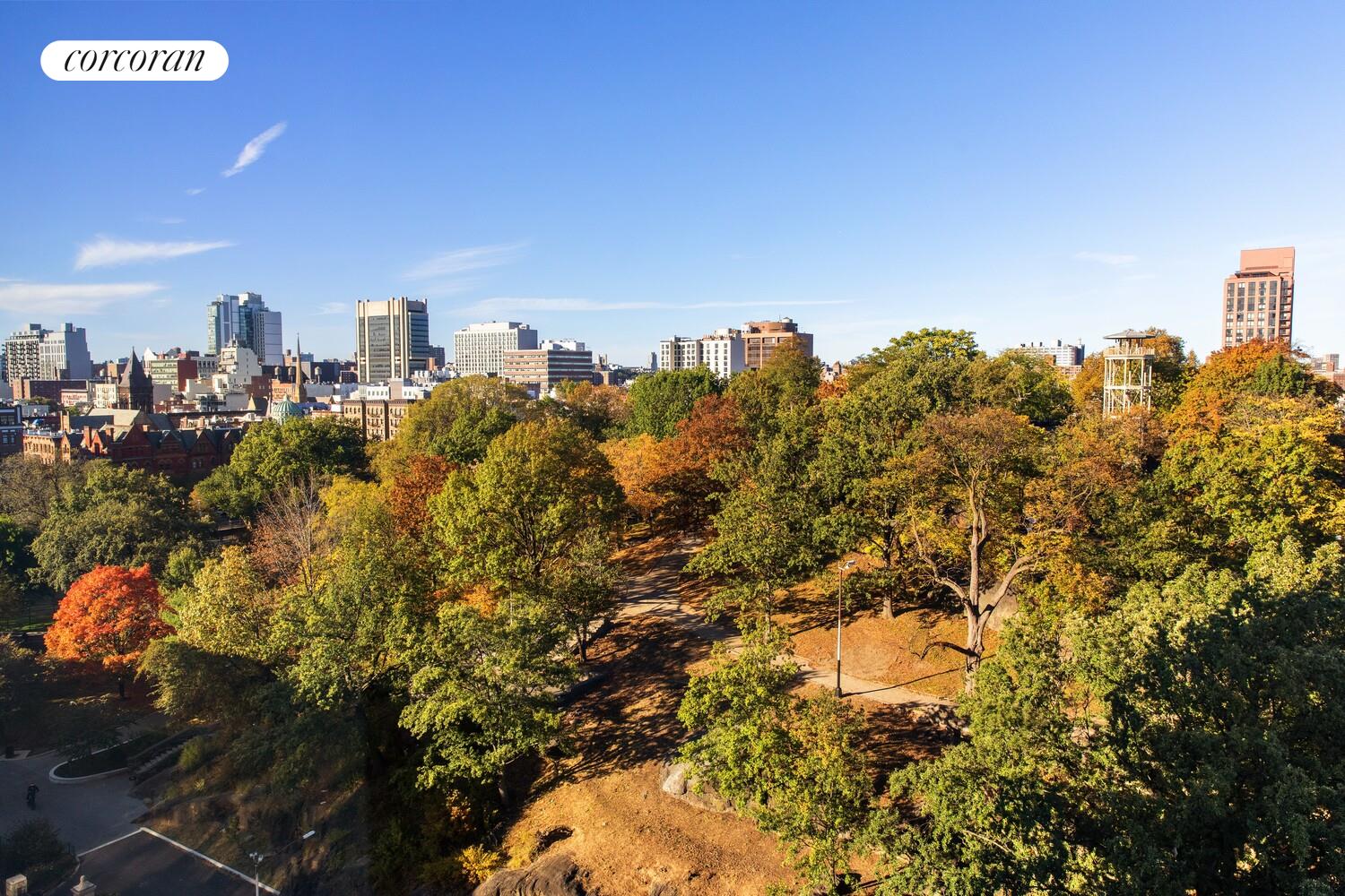 #10 photo, 1485 5TH Avenue, マンハッタン South Harlem , NY 10035