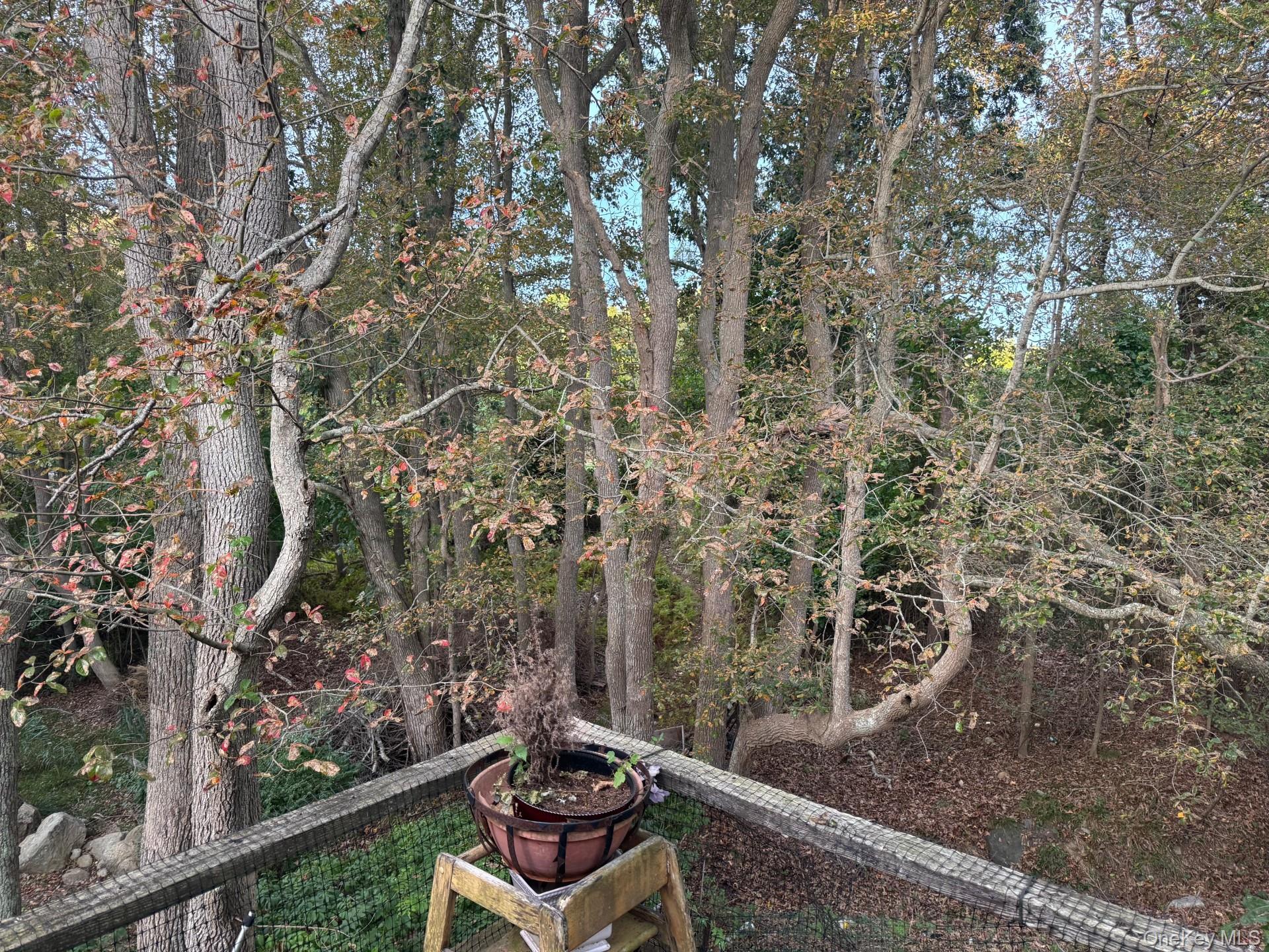 #3 photo, 70 Fairview Avenue, サフォーク郡 Montauk , NY 11954