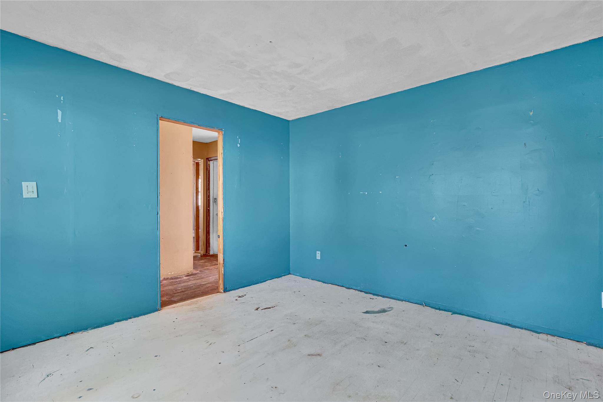 #8 photo, 90 30th Street, サフォーク郡 Copiague , NY 11726