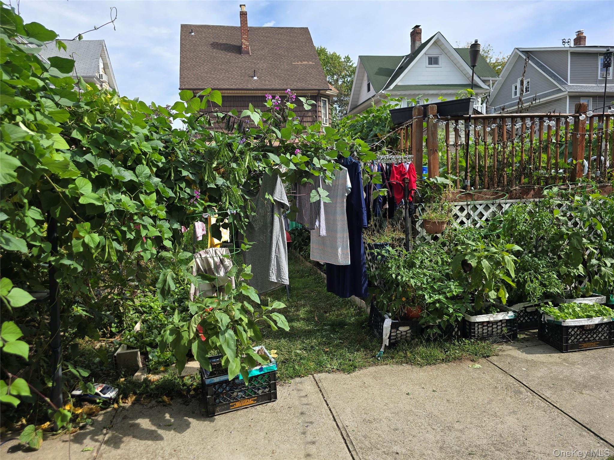 #11 photo, 8765 95th Street, クイーンズ区 Woodhaven , NY 11421