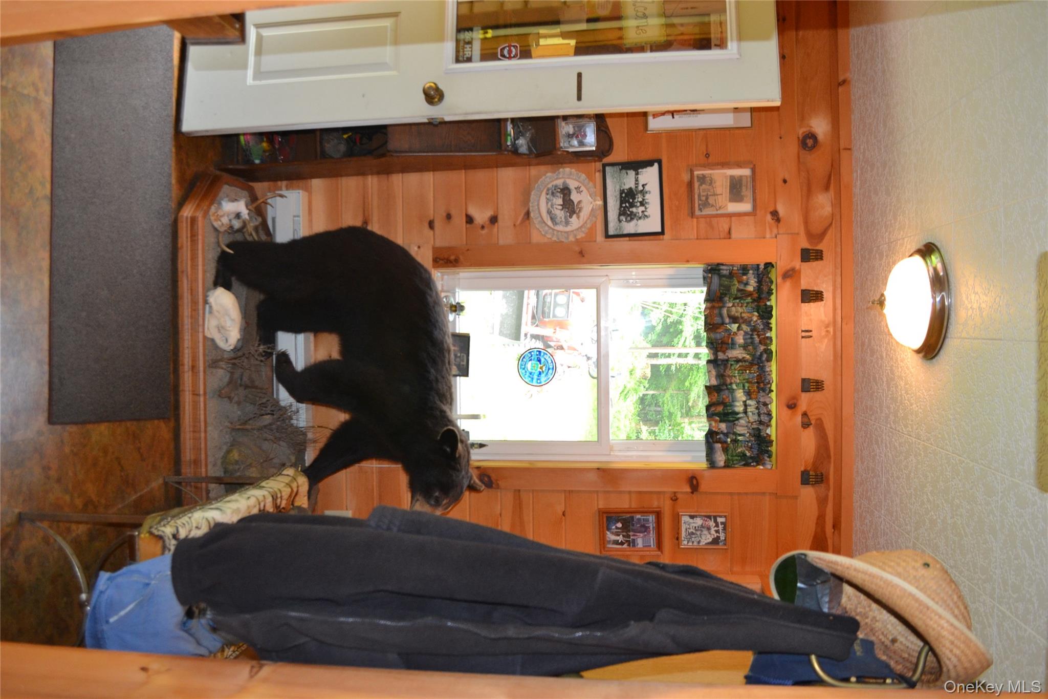 #13 photo, 365 Via Appian Way, Roscoe , NY 12776