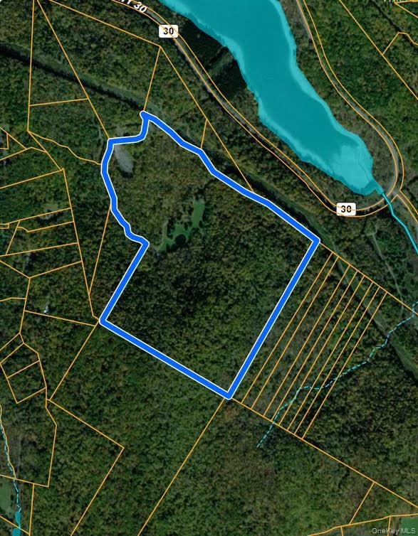 #4 photo, 365 Via Appian Way, Roscoe , NY 12776