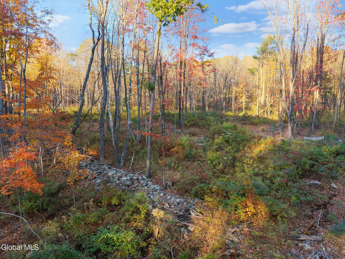 #10 photo, 138 Old Road, Grafton , NY 12052