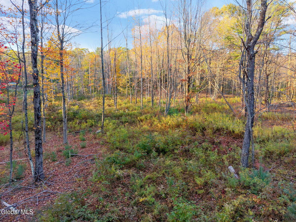 #11 photo, 138 Old Road, Grafton , NY 12052