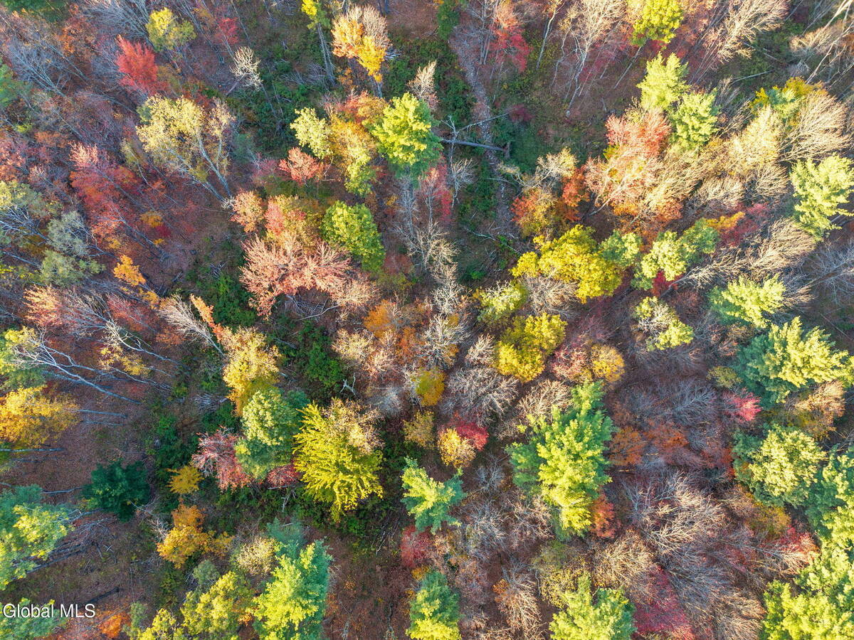 #16 photo, 138 Old Road, Grafton , NY 12052