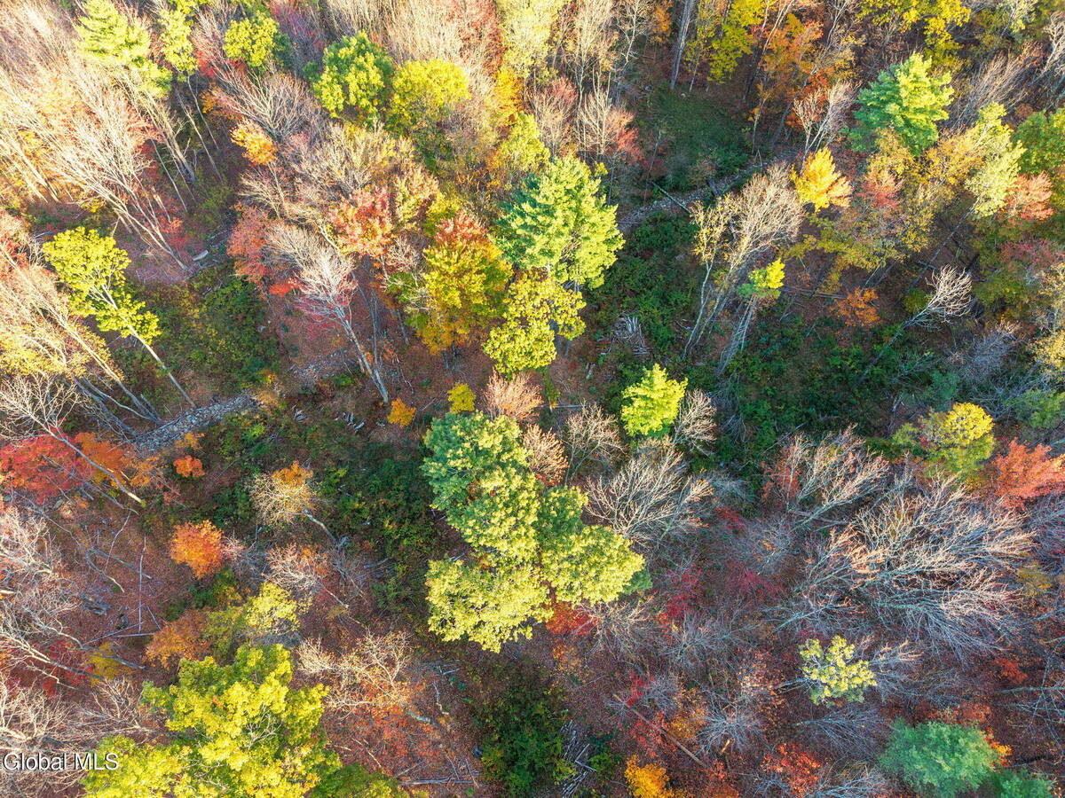 #6 photo, 138 Old Road, Grafton , NY 12052