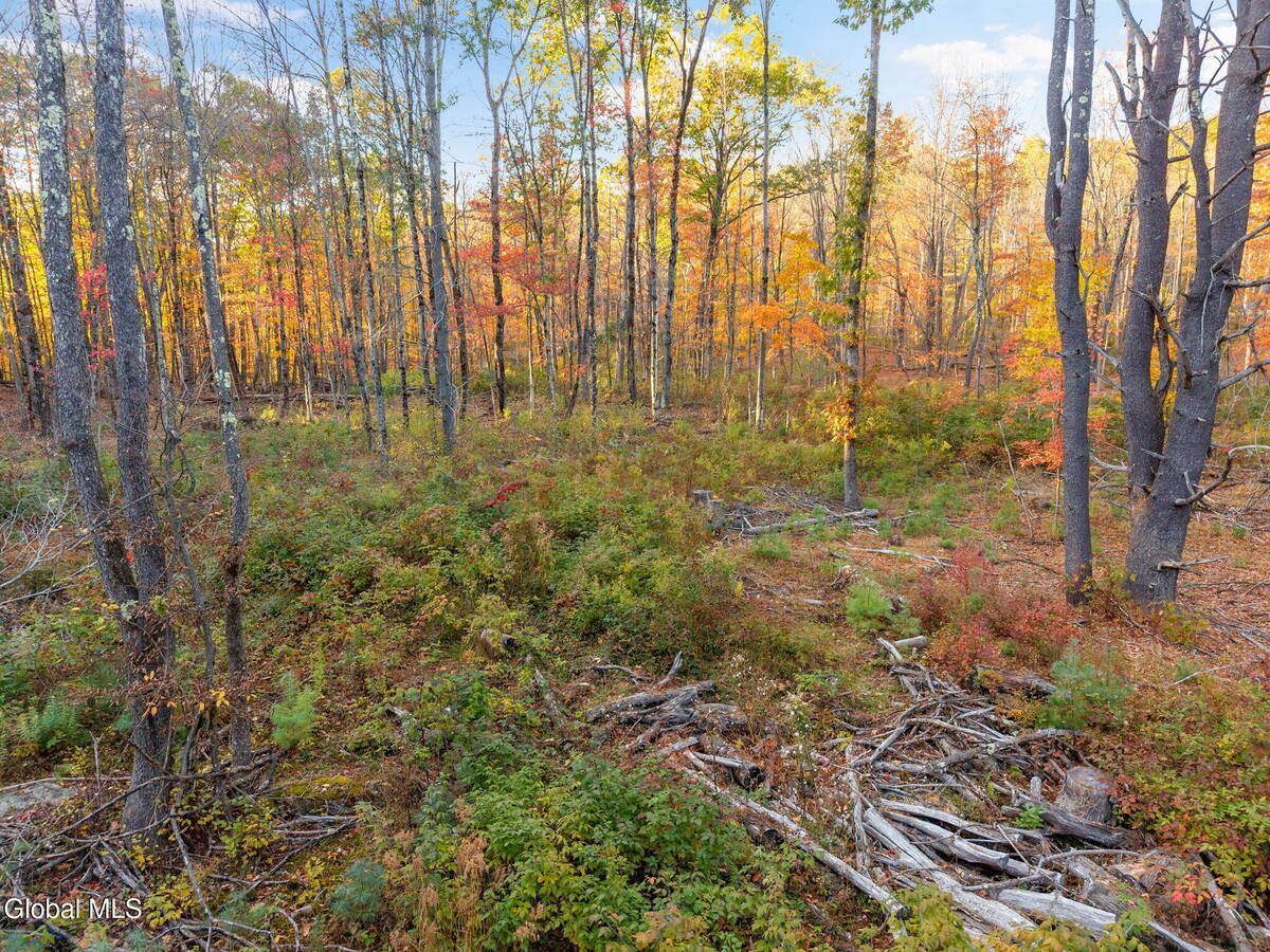 #8 photo, 138 Old Road, Grafton , NY 12052