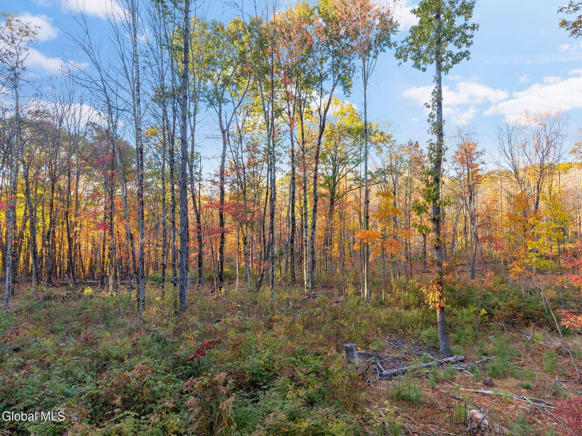 #9 photo, 138 Old Road, Grafton , NY 12052