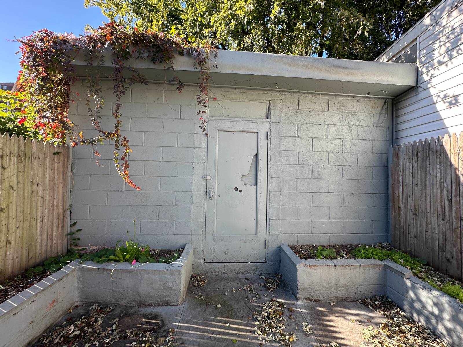 #12 photo, 101 Pioneer Street, #1, ブルックリン区 Red Hook , NY 11231