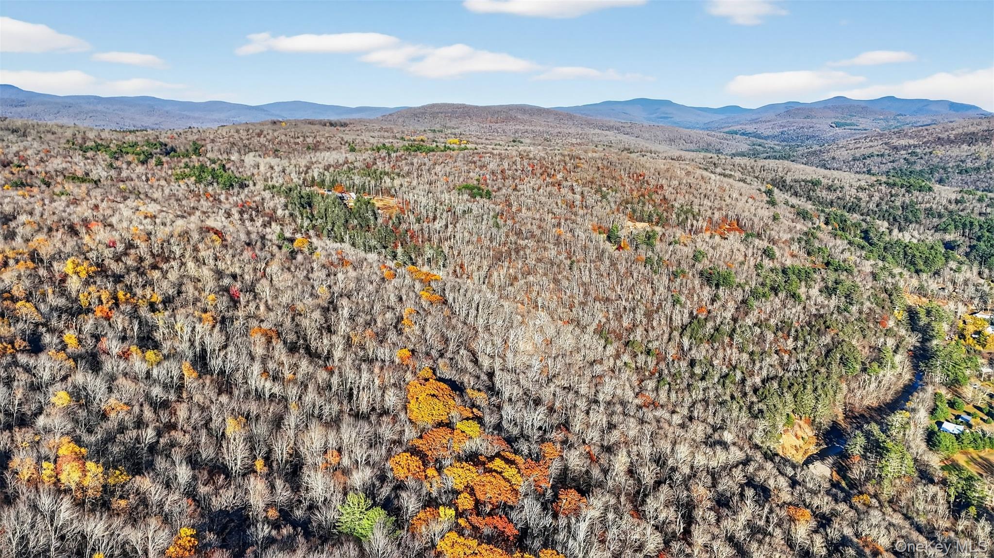 #10 photo, 79 Taylor Road, Claryville , NY 12725