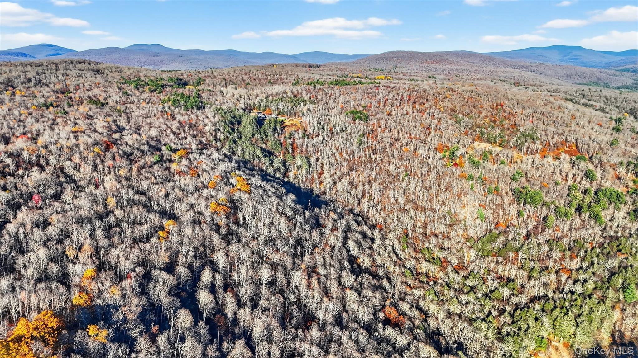 #11 photo, 79 Taylor Road, Claryville , NY 12725