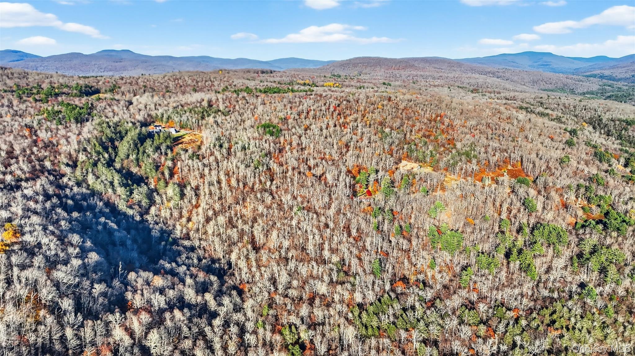 #12 photo, 79 Taylor Road, Claryville , NY 12725