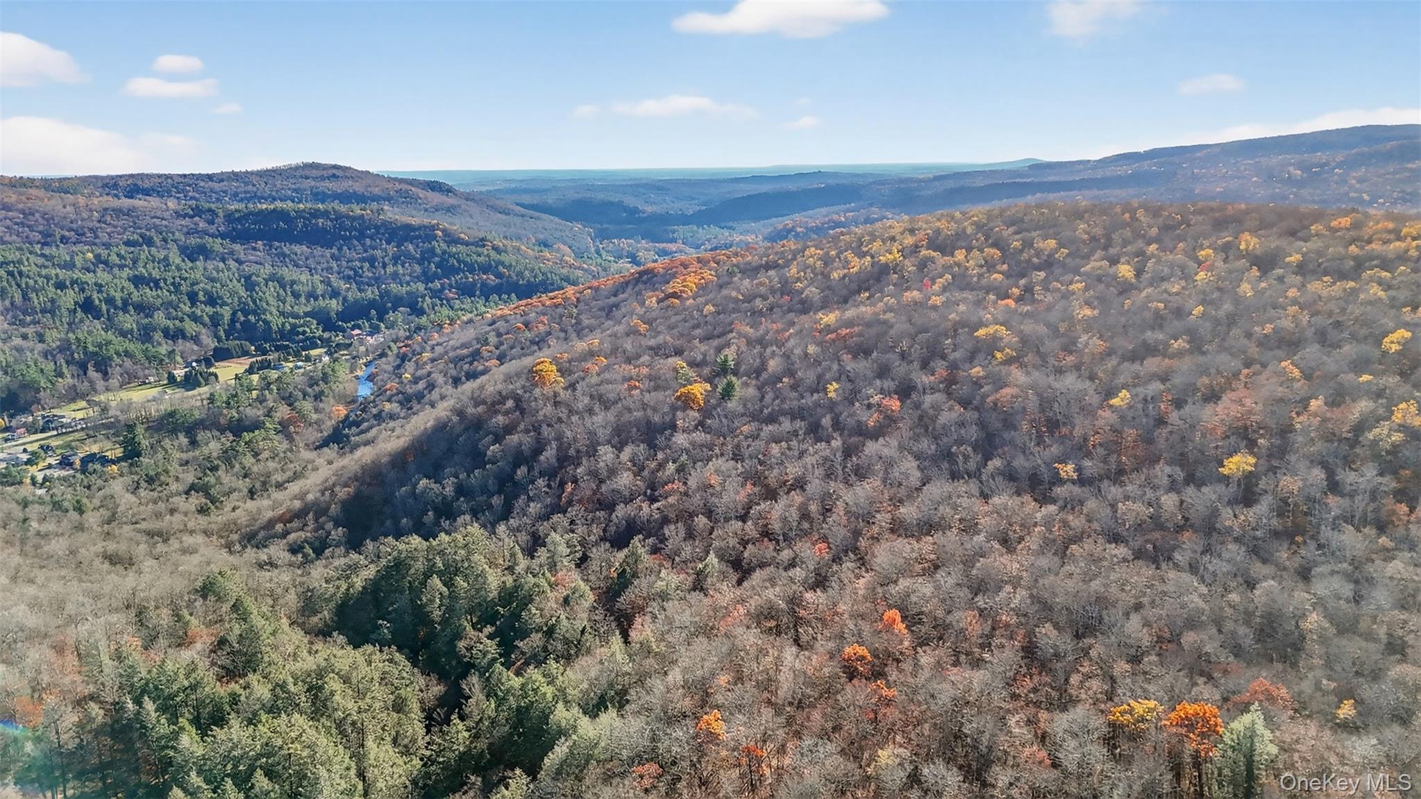 #2 photo, 79 Taylor Road, Claryville , NY 12725