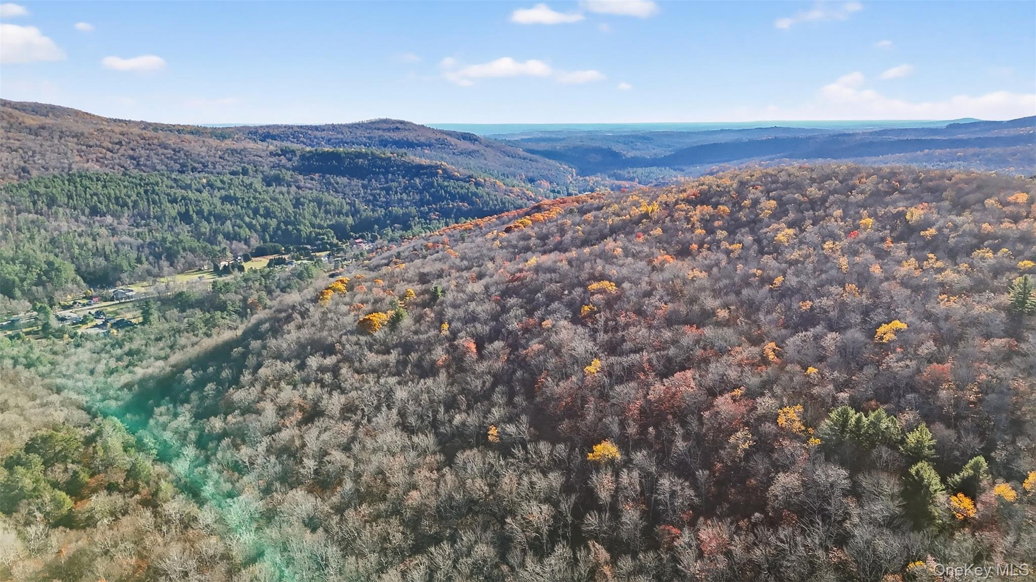 #3 photo, 79 Taylor Road, Claryville , NY 12725