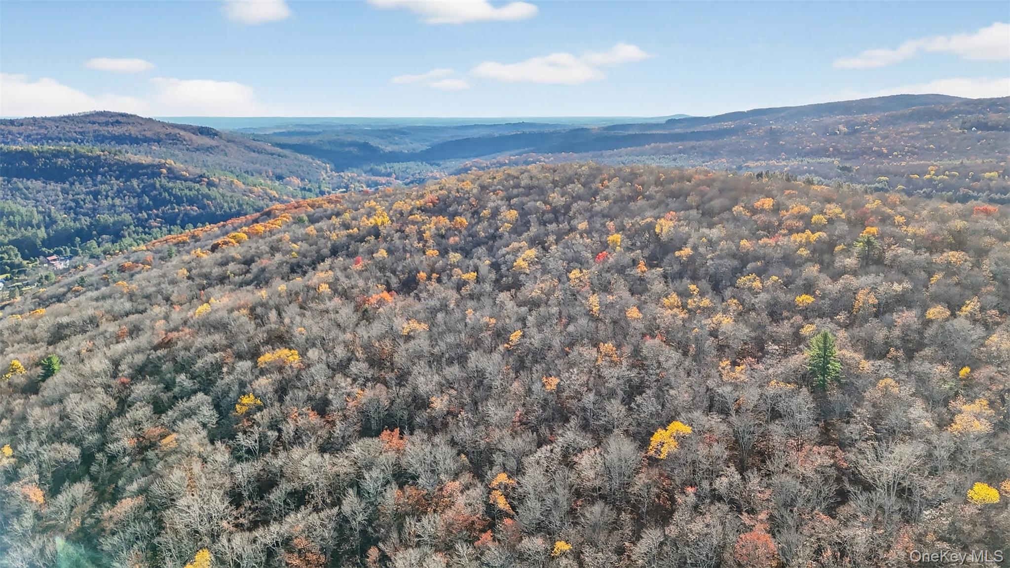 #4 photo, 79 Taylor Road, Claryville , NY 12725