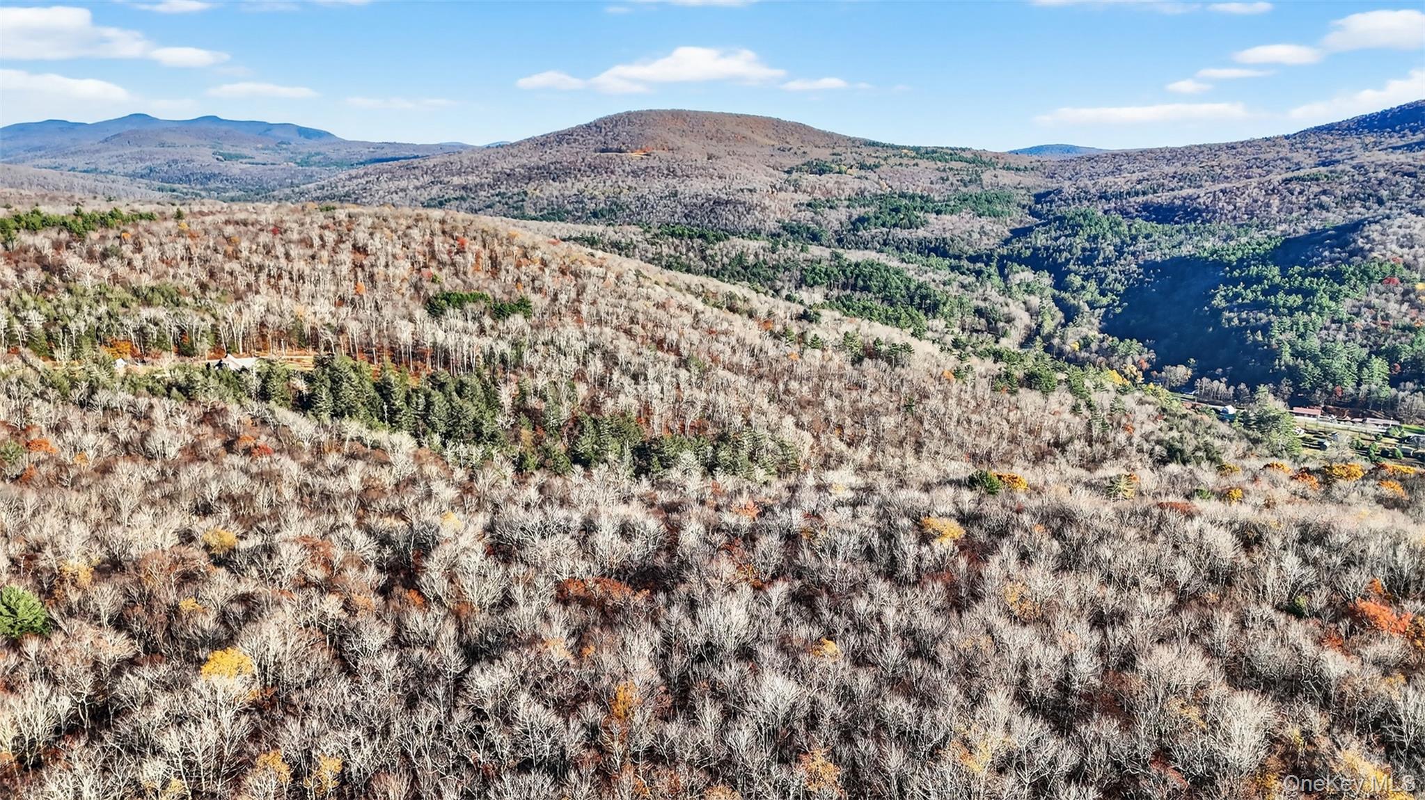 #5 photo, 79 Taylor Road, Claryville , NY 12725