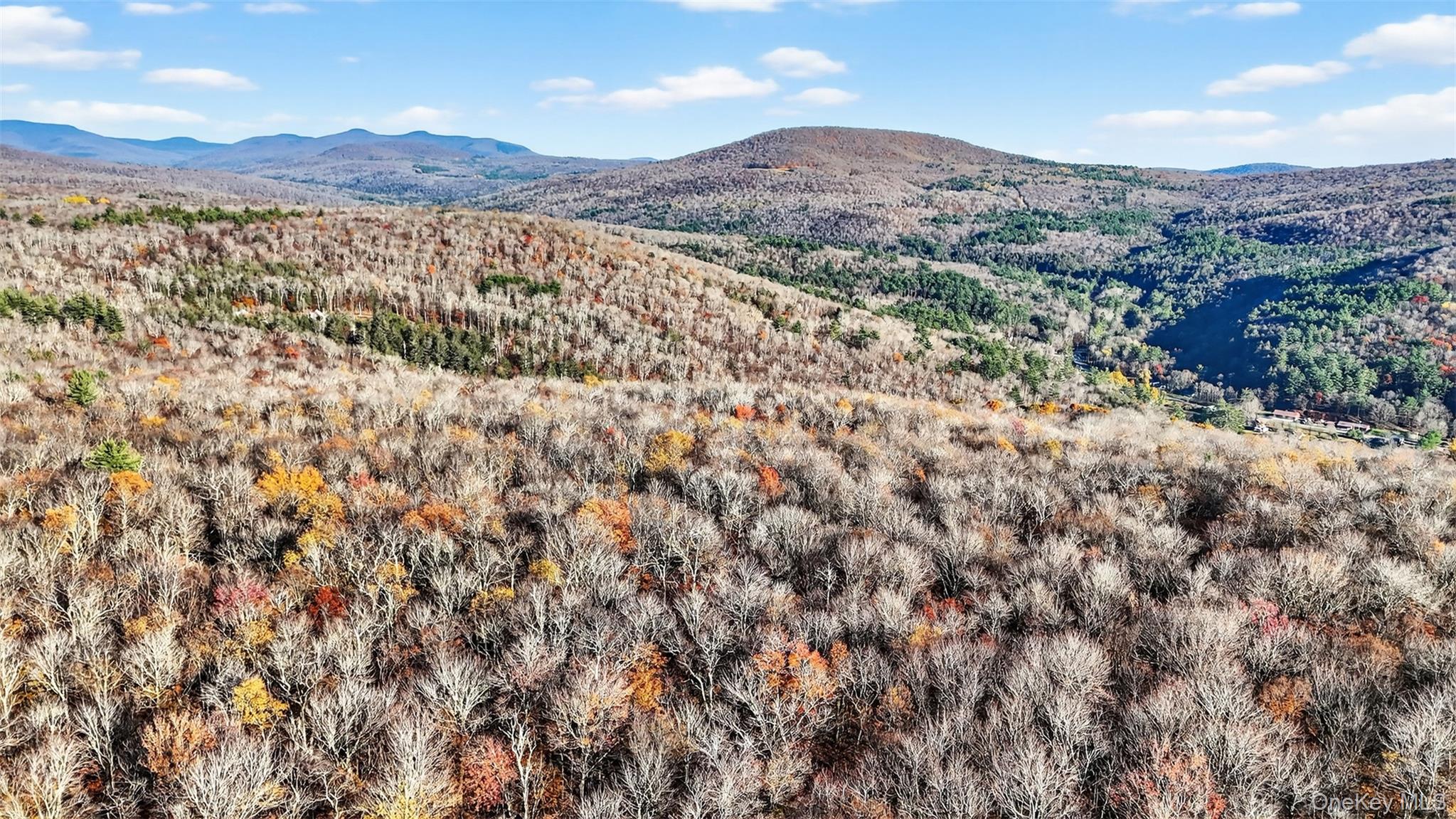 #6 photo, 79 Taylor Road, Claryville , NY 12725