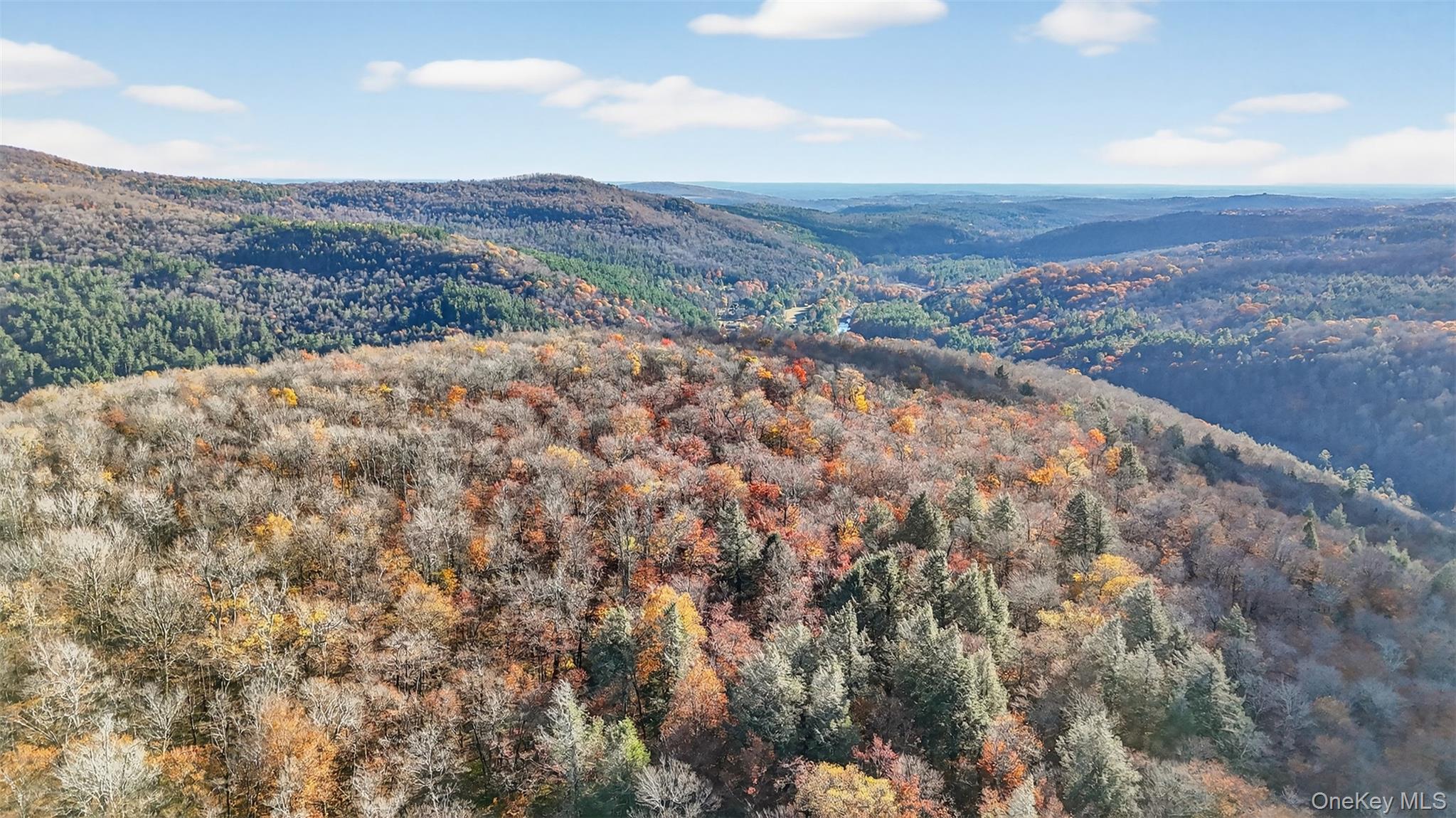 #7 photo, 79 Taylor Road, Claryville , NY 12725