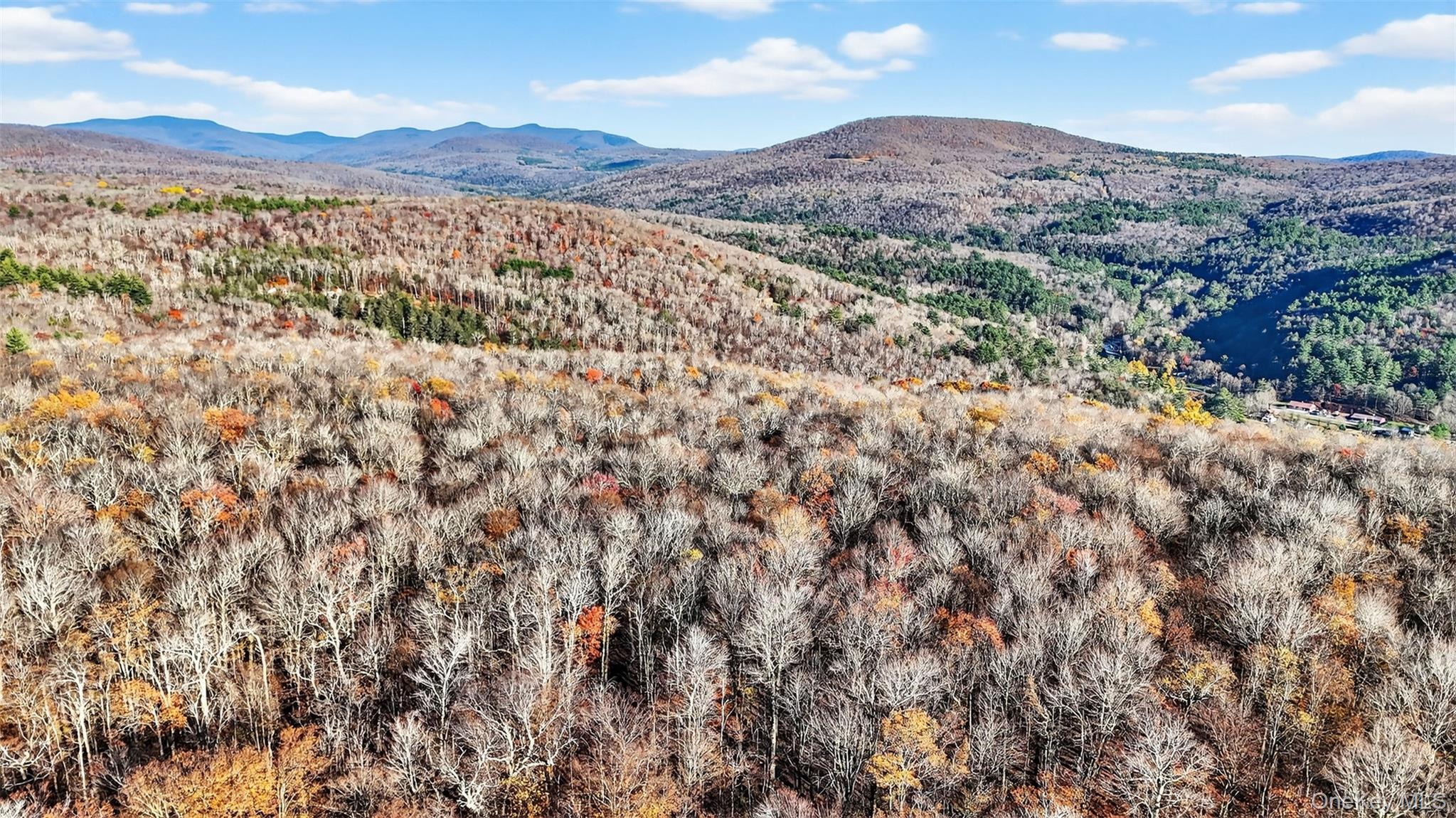 #8 photo, 79 Taylor Road, Claryville , NY 12725